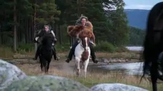 Horse Powers from the Land of the Vikings