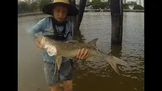CATCHING MASSIVE TAGGED THREADFIN SALMON IN THE BRISBANE RIVER! TAG NO. V 74587