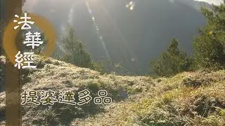 【靜思妙蓮華】法華經提婆達多品 - 佛性平等 微妙廣大 - 20230207 第1345集