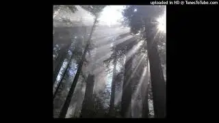 (free!) yhapojj + melodic + diary plugg + dcm/tylo type beat