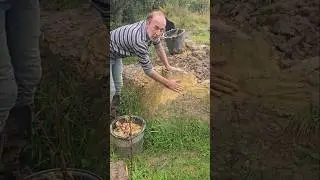 Subsoil slop #landscaping #permaculture #gardening #cat #fitnessmotivation #mud #exercise #ideas