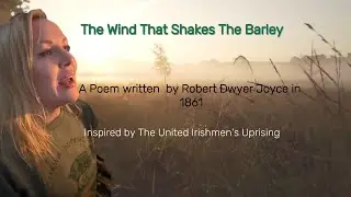 Irish Girls поют захватывающую версию песни The Wind That Shakes The Barley а капелла