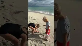 Дети исследуют пляж после урагана. Видео на берегу! #beach #baby #kids #funny #fun #disneyworld