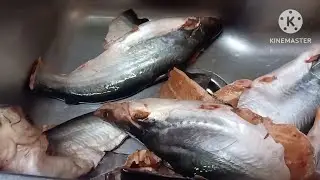 طريقه جميله للسمك الشلبايه 😋👍🔔A beautiful way to cook shalbaya fish 