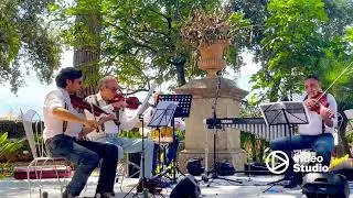 Quintezz - live
