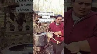 #Shorts#ShortsViral#VidaRural#Campo#Agricultura#MujerFuerte#FarmerGirl