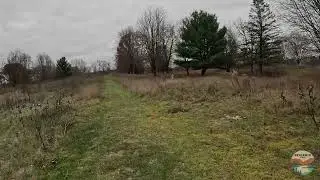 Exploring the Balk Family Park, Cloudy Fall Hike | Full Hike POV | Hiking, Nature ASMR | Kent, MI