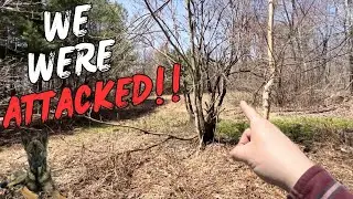 Exploring A Cellar Hole (Attacked!!!)
