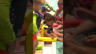 Phoenix from A to Z: Aquatics