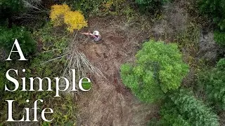 Building Goat Pasture Deep in the Woods!
