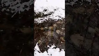 ZALEWISKO, TRZY UJĘCIA WODY KANAŁ W LESIE.