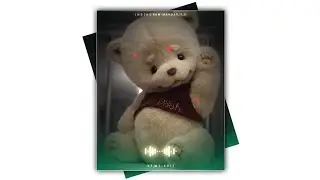 Happy Teddy Day 2021 Whatsapp Status | Teddy Lovers | Teddy Bear Status | Happy Teddy Day 🐻❤️