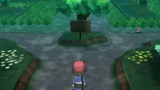 Pokemon X & Y - Part 2 | Santalune Forest!