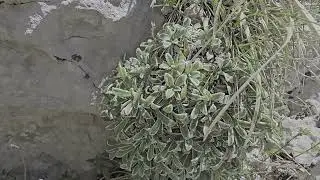 MONTE CAMICIA ABRUZZO ITALIA