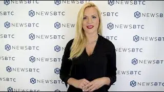 Upcoming Events: Red Pulse Public Release of Platform AMA, Nano Wallet Release & Weekly Updates