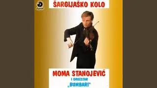 Badžino kolo