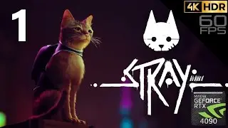 STRAY - 4K 60FPS PC Ultra Graphics - GameJournals Trailer