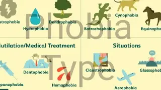 Vocabulary with Phobia/Phobia type/All about Phobia/ Phobia / phobia mnemonics/ Vocabulary/