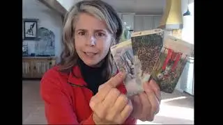 🙌Если бы вы знали всю правду, вы бы никогда не сделали тот же выбор. 🚫Манипуляция 🙌Свобода