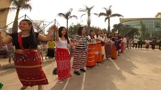 All Arunachal Student//Celebrating Post Nyokum Yullo 2024//PUNJAB