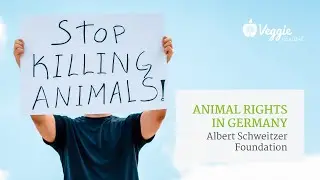Animal rights in Germany: Albert Schweitzer Foundation - Mahi Klosterhalfen