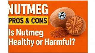 Netmug: Miracle Spice or Hidden Danger? Find Out Find Now! #Netmeg 