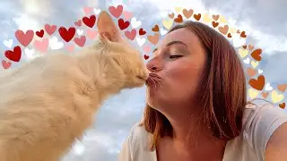 un petit peu de tranquillité | LES VLOGS DE L'ÉTÉ