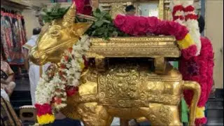 Pradosham Live - 30-1-26