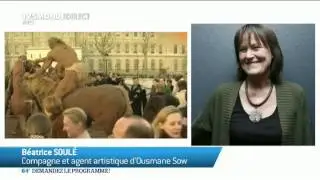 Décès d'Ousmane Sow, sculpteur des hommes debout