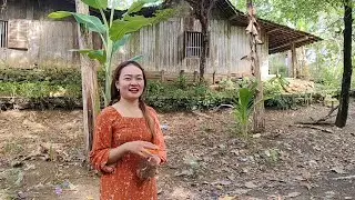KAMPUNG JANDA CANTIK KEKURANGAN LAKI-LAKI DI DESA TERPENCIL JAWA TENGAH