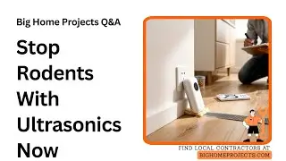 Ultrasonic Rodent Exclusion Tips For New Homes