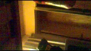 27122012006