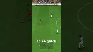 FC 24 glitch.
