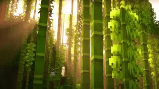 I Made This Minecraft Video For Biology Class...