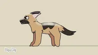 Dog run cycle (Snap the German Shepherd)