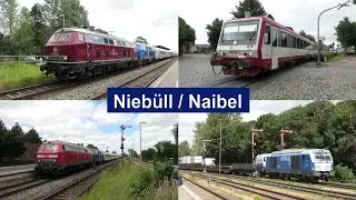 Züge im Bahnhof Niebüll mit Formsignalen Br 218 + Intercity, Kurswagen, Br 628, Syltshuttle, NEG uvm