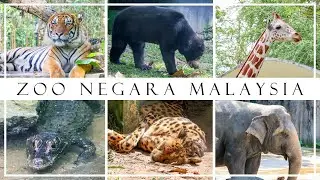Zoo Negara Malaysia