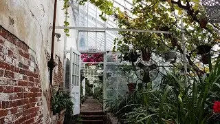 Experience the Lyman Estate Greenhouses