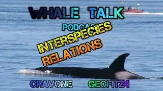 Whale Talk Podcast Episode 3 - Interspecies Relations & Whale Falls