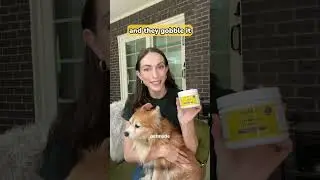 No more capsules for dog supplements | Longevity Formula | PetMade
