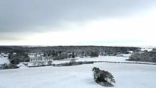 Etang de R&eacute;mering-l&egrave;s-Puttelange le 03 janvier 2026