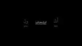 Enter Paradise! Quran Sura Az Zukhruf 43:70-71 Muhammad Al Luhaidan #Quran #Islam #قران #Allah