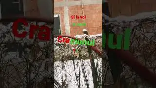 Ib:me//merry Critsmas//hello#video #nou #color #capcutediting #mananc #love #Craciun