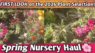 2026 First Plant Nursery Visit: Full Tour🌸@Greennerylife #viralvideo 