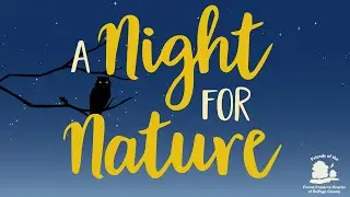 Night for Nature Benefit Kicks Off Conserving the Hine's Emerald Dragonfly