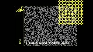 eFly - Look What You've Done
