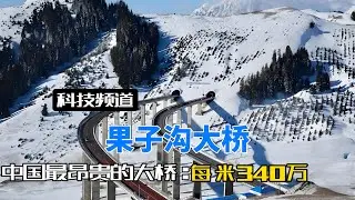 中国砸下23.9亿，在新疆修建了一座700米的大桥，值得吗？#新疆 #新疆旅游 #果子沟大桥#超级工程#大国基建