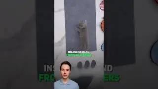 Built a business thanks to their cat