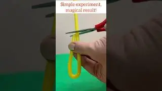 Научный трюк с давлением воздуха для детей l Водный эксперимент #euphoricartandorigami #creativek...