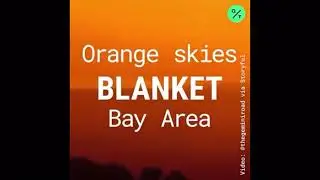 Oakland&rsquo;s Orange Sky &lsquo;Feels A Lot Like The Twilight Zone&rsquo;